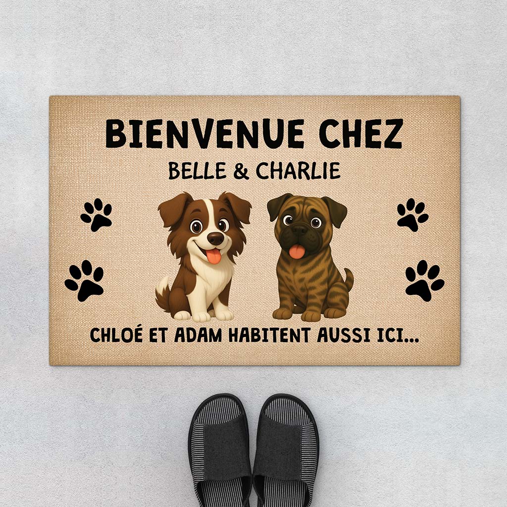 Image du produit 1